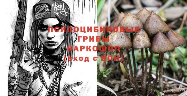 эйфоретик Абаза